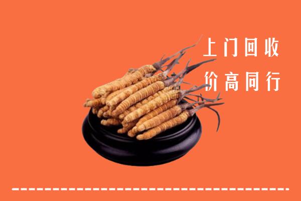 附近收购：洪梅镇冬虫夏草回收多少钱每克