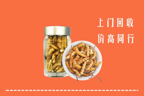 高价求购：洪梅镇回收冬虫夏草